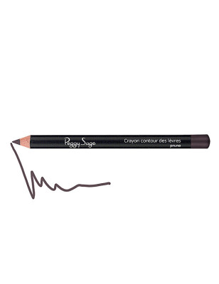 Crayon contour des lèvres Prune 1.1g