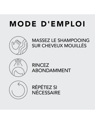 Shampooing Penetraitt