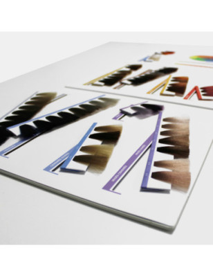 Nuancier Color. – visualisation précise, accompagnement pro