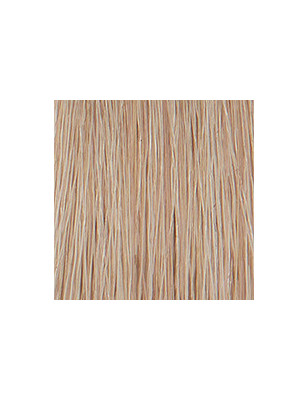 Coloration permanente crème hybride Color. Blond platine cendré