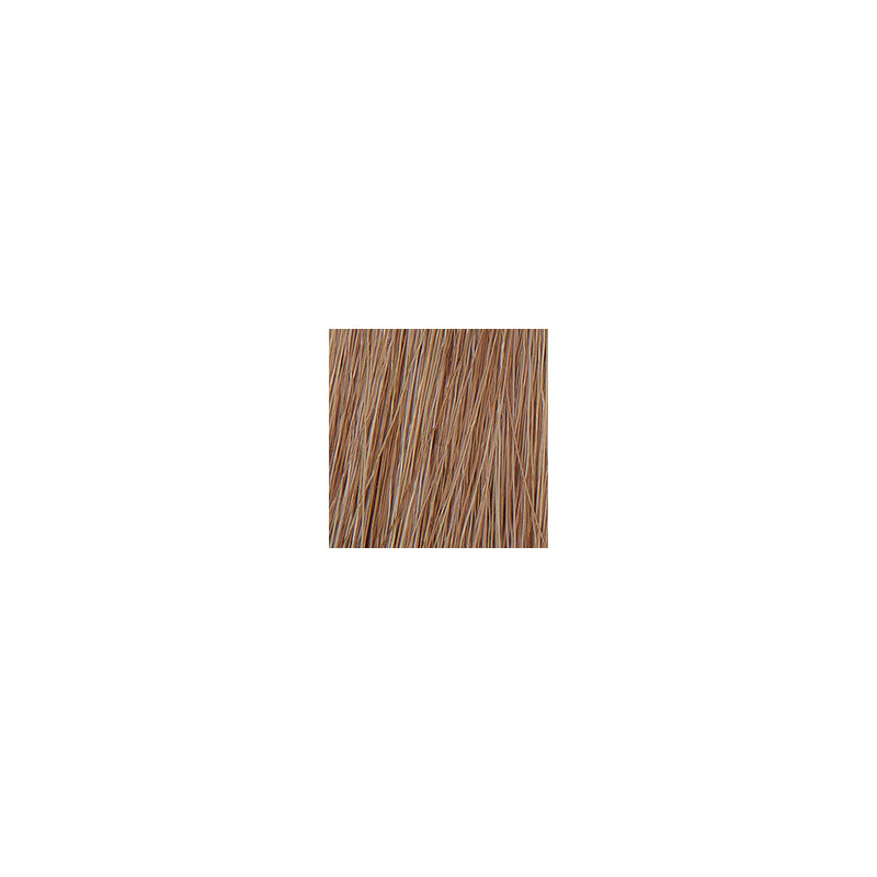 Coloration permanente crème hybride Color. Blond clair cendré