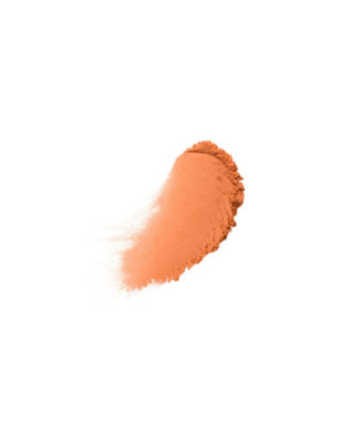 Poudre libre de finition Wonder Snatch 06 - Sassy Spice