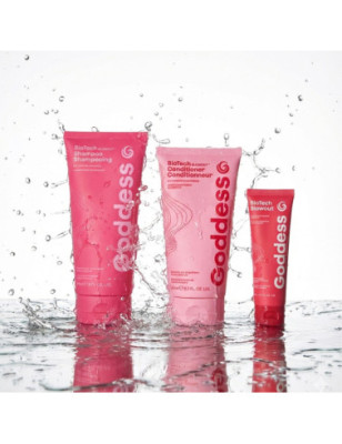 Shampoing réparateur protecteur BioTech Blowout – soin, protection, hydratation Shampoing réparateur protecteur BioTech Blowout – soin, protection, hydratation