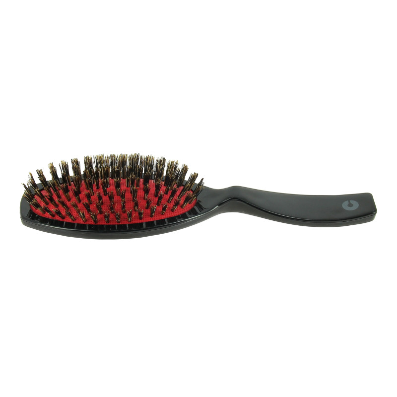 Brosse pneumatique en sanglier Brosse pneumatique en sanglier