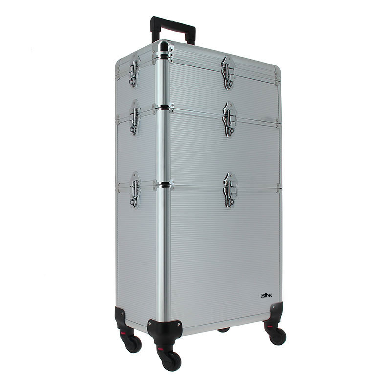 Valise professionnelle à roulettes Argent Valise professionnelle à roulettes Argent