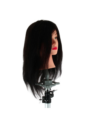 Tête d'étude Alice Tête d'étude Alice