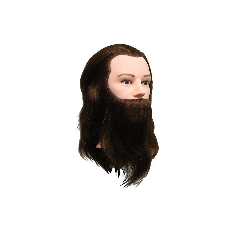 Tête d'étude Louis Tête d'étude Louis