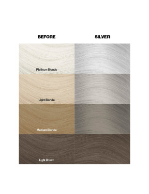 Coloration temporaire silver argent n°27 Coloration temporaire silver argent n°27