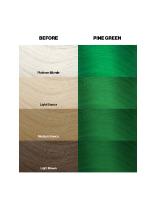 Coloration temporaire pine green n°46 Coloration temporaire pine green n°46