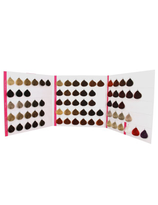 Nuancier Coiffeo Nuancier Coiffeo