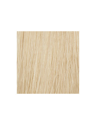 P3 Color 10 blond platine 60ml