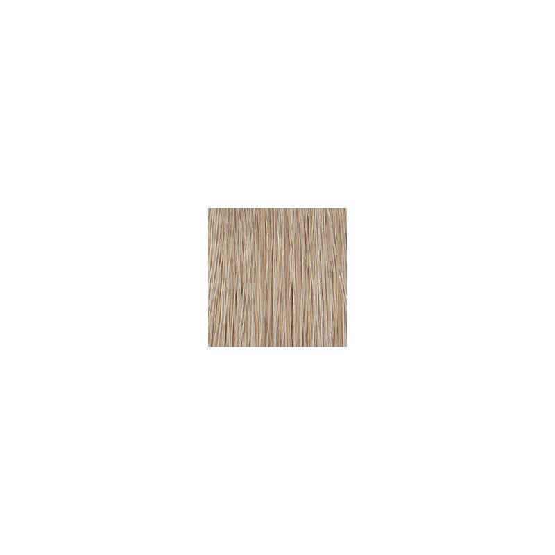 P3 Color 10.1 blond platine cendre 60ml P3 Color 10.1 blond platine cendre 60ml