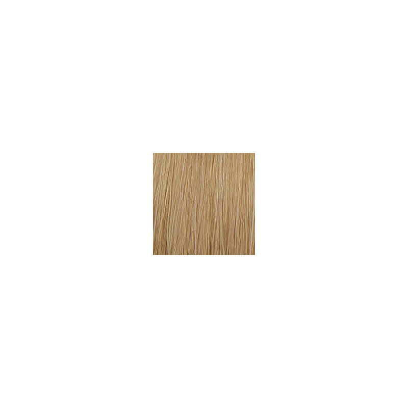 P3 Color 10.3 blond platine dore 60ml P3 Color 10.3 blond platine dore 60ml
