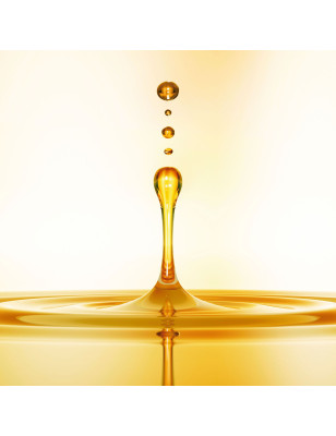 Soin capillaire Orofluido™ infusé d'huile d'argan Soin capillaire Orofluido™ infusé d'huile d'argan