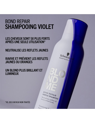 BM Shampooing Violet