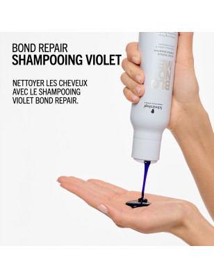 BM Shampooing Violet