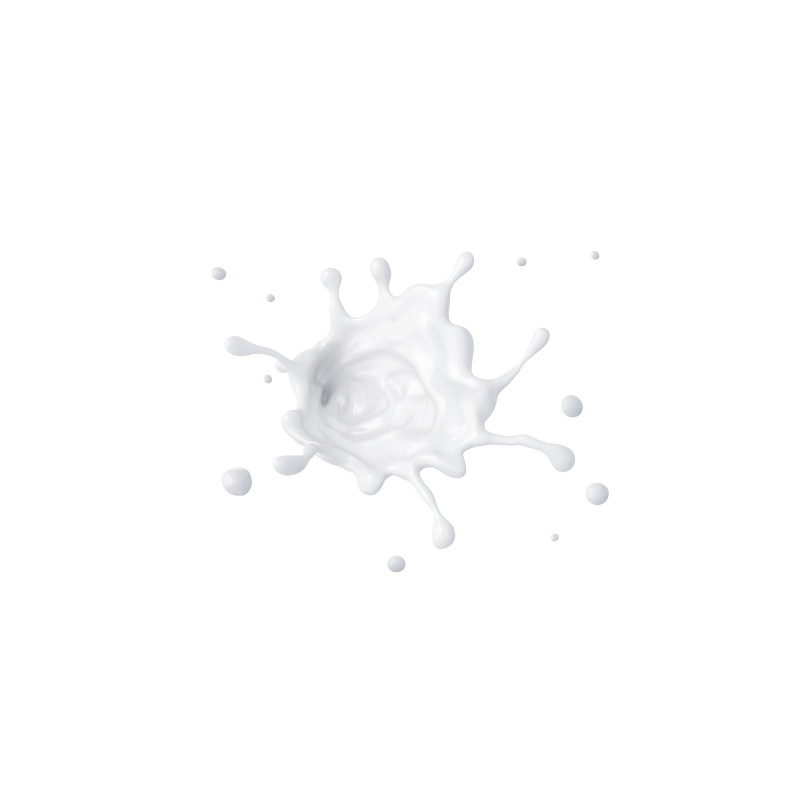 Base de teint The Face Glue Primer Base de teint The Face Glue Primer